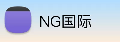 NG国际 Logo